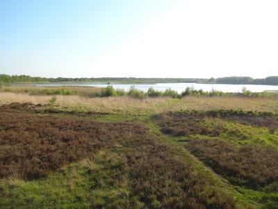 Das Zwillbrocker Venn in Vreden im Mai 2014.