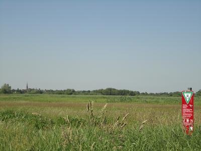 Blick in das Naturschutzgebiet "Ilmenau-Luhe-Niederung"