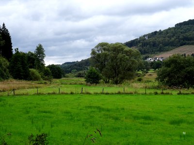 Das Hillebachtal im Naturschutzgebiet Irrgeister; Wald gehört zum Landschaftsschutzgebiet Winterberg.