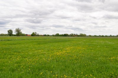 Naturschutzgebiet Gunnewiesen in Delbrück und Salzkotten, Kreis Paderborn; Teilgebiet in Delbrück