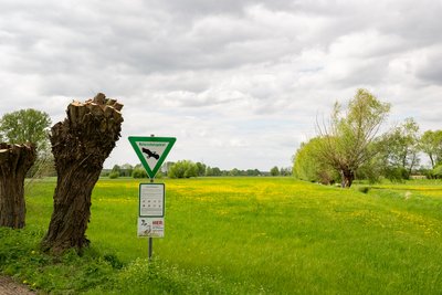 Naturschutzgebiet Gunnewiesen in Delbrück und Salzkotten, Kreis Paderborn; Teilgebiet in Delbrück