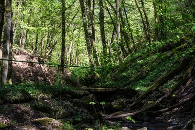 Wanderweg im Trübenbachtal (NSG Trübenbachtal)