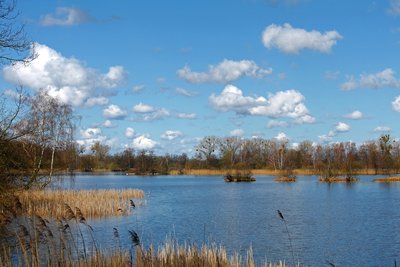 "Fischteiche in der Lewitz" nature reserve in Mecklenburg-Vorpommern, Germany