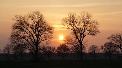 Lewitz, Friedrichsmoor, Landkreis Ludwigslust Parchim N 29