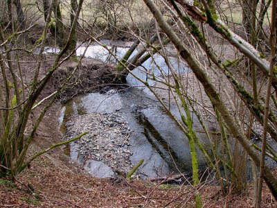Die Orke bei Medelon; Naturschutzgebiet „Orketal“ (NSG HSK-173) in Medebach