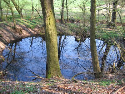 Mooskammer Doline