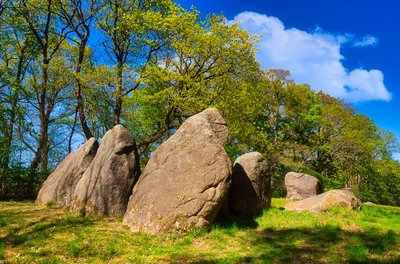 Megalithic tomb Visbeker Braut. Foto: Dorothea Jacob