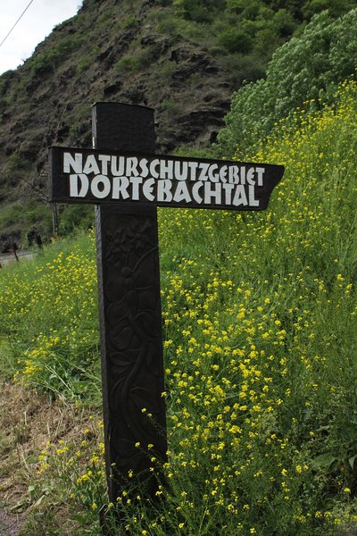 Nature Reserve Dortebachtal