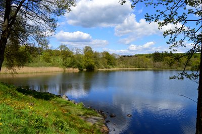 Dreifelder Weiher in Westerwald, Germany
