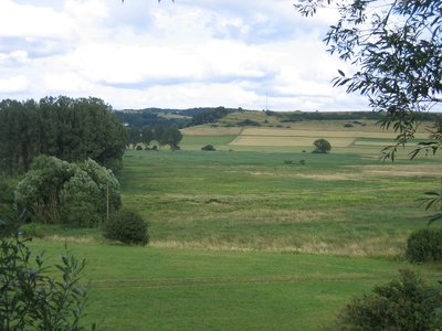 Dreiser Weiher nature reserve with Döhmberg and Börchen (July 2008)
