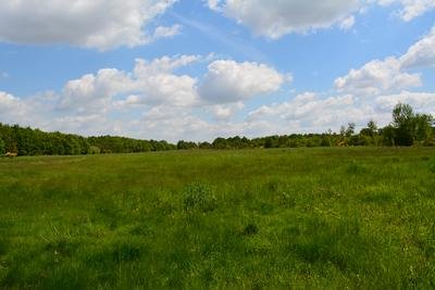 Drover Heide, Kreuzau