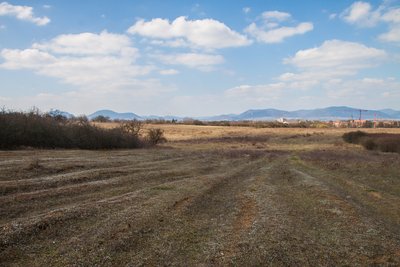 NSG Ebenberg – Auf dem Ebenberg in Landau