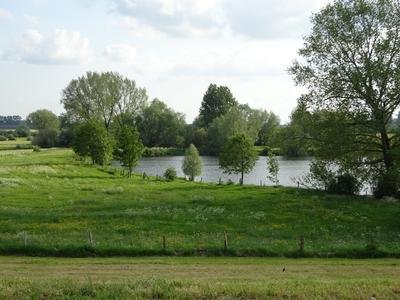 Emmerich-Praest, NSG Bienener Altrhein