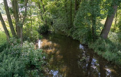 Exter im Naturschutzgebiet "Tal der Exter", Extertal, Kreis Lippe