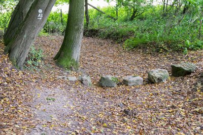 Naturschutzgebiet "Rinnenberg", Extertal, Kreis Lippe; trockenes Bett der Kasselbeeke