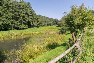 Naturschutzgebiet "Siekbachtal", Extertal, Kreis Lippe