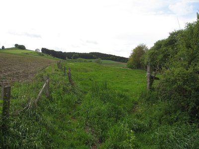Das Naturschutzgebiet „Fettküche“ vom östlichen Rand aufgenommen. Rechts sind die Alleebäume der B 7 zu sehen.