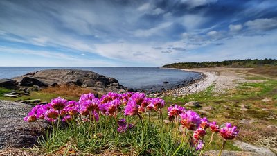Spring at Spornes
