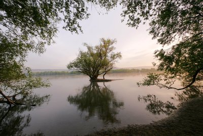 Naturschutzgebiet Fulder Aue-Ilmen Aue, near Mainz, Rhineland-Palatinate. The reserve contains part of the Rhine, the surrounding floodplain and Rhine islands Fulder Aue and Ilmen Aue.