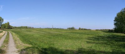 Insel Görmitz, Wiese im nördlichen Teil der Insel