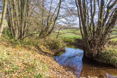 Der Genfbach im Naturschutzgebiet Genfbachtal südöstlich Nettersheim (EU-034)