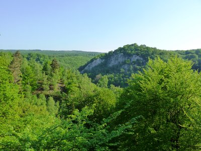 Gipsfelsen bei Questenberg