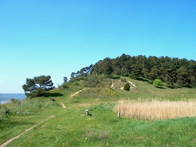 Landschaft von Gnitz auf Usedom