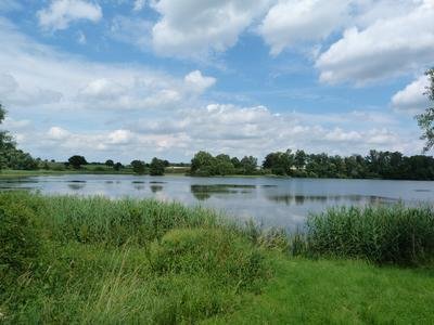 Blick auf den Goldensee