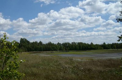 Blick auf den Moorsee im Naturschutzgebiet Grambower Moor.