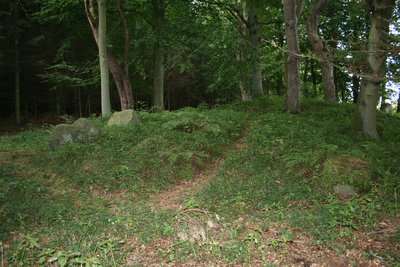 Megalithic tomb Dummertevitz (megalithic tomb "Ziegensteine" ("Goat stones"))