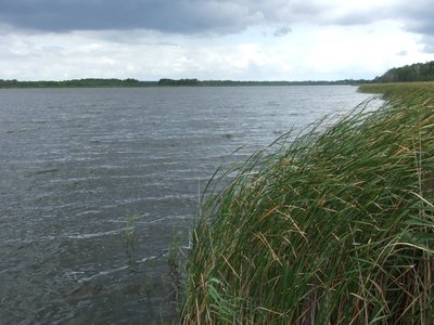 Blick auf den Großen Koblentzer See im Naturschutzgebiet „Großer Koblentzer See“