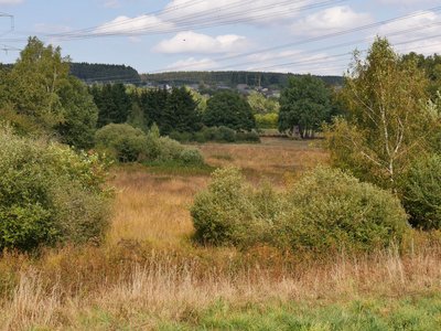Naturschutzgebiet Eidenbruch bei Gusenburg - Blick für Süden auf fast das gesamte Naturschutzgebiet