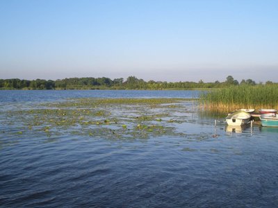 Blick auf den Inselsee und in das Naturschutzgebiet Gutower Moor und Schöninsel bei Güstrow.