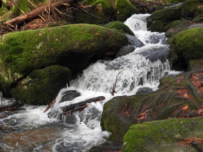 NSG Hölle - Ruderszeller Bach