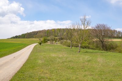 Naturschutzgebiet Kalkmagerrasen bei Ottbergen und Bruchhausen, hier Höxter-Ottbergen