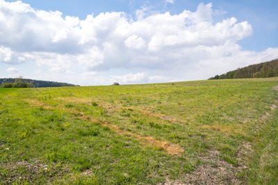 Naturschutzgebiet Kalkmagerrasen bei Ottbergen und Bruchhausen, hier Höxter-Ottbergen
