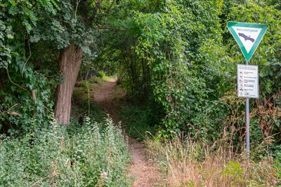 Naturschutzgebiet Bielenberg bei Höxter