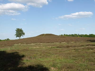 Hügelgrab Bretziner Heide