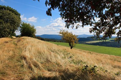 Blick vom Hürsnück in Richtung Hohe Acht
