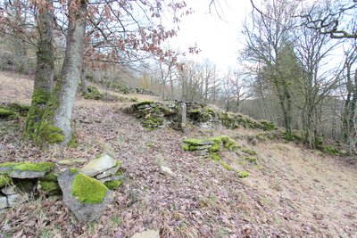 In der Held nature reserve near Hüttingen (December 2017)