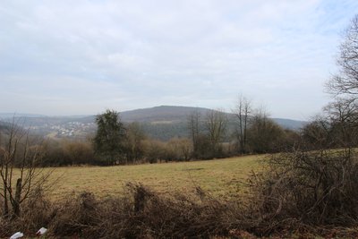 Naturschutzgebiet „Streuobstwiesen und Hecken am Münchensberg bei Hüttingen“