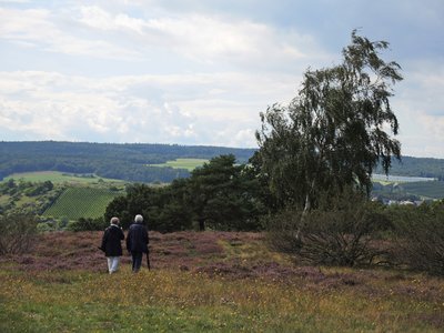 (NSG:RP-7133-001)_Neu-Bamberger-Heide