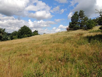Südhang der Hellberge, Naturschutzgebiet „Hellberge“