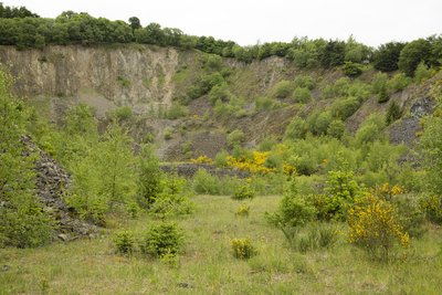 Frühlingsbild im Naturschutzgebiet „Hochbermel“, Rheinland-Pfalz