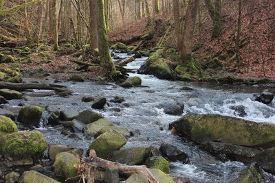 Holzbachdurchbruch