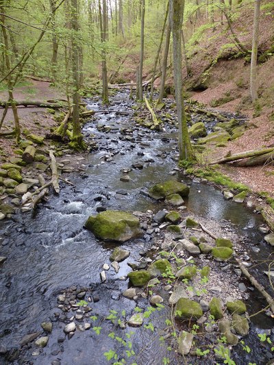 Holzbach in the nature reserve Holzbachdurchbruch