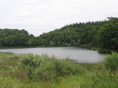 Das Holzmaar in der Vulkaneifel