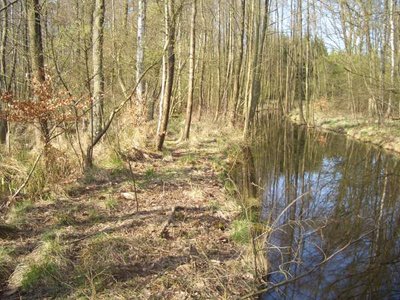Blick auf den Hullergraben, der den Großen Peetscher See in Mecklenburg-Vorpommern entwässert.