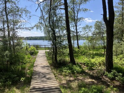 NSG Neubäuer Weiher - Aussichtsplattform