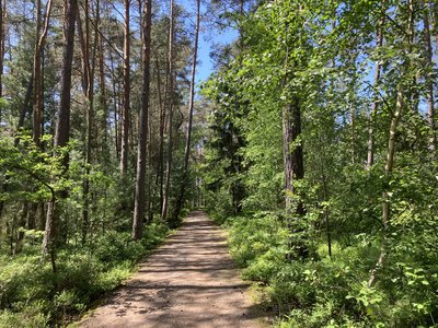 NSG Neubäuer Weiher